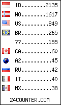 visitors by country counter