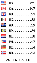 visitors by country counter