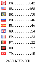 visitors by country counter