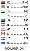 visitors by country counter