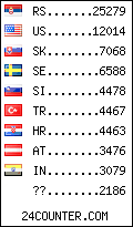 visitors by country counter