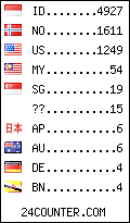 visitors by country counter