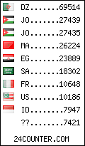 visitors by country counter