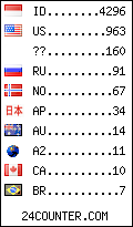 visitors by country counter