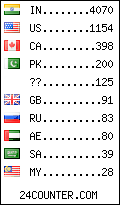 visitors by country counter