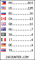 visitors by country counter