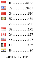 visitors by country counter