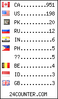 visitors by country counter