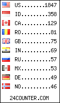 visitors by country counter