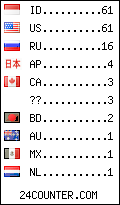 visitors by country counter