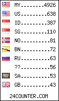 visitors by country counter