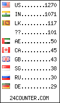 visitors by country counter