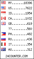 visitors by country counter