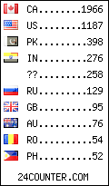 visitors by country counter