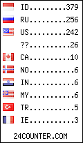 visitors by country counter