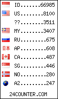 visitors by country counter