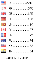 visitors by country counter