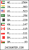 visitors by country counter