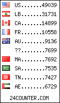 visitors by country counter