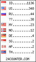 visitors by country counter