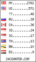 visitors by country counter