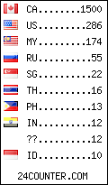 visitors by country counter