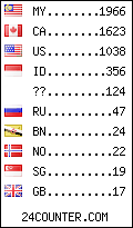 visitors by country counter