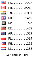 visitors by country counter