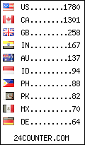 visitors by country counter