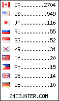 visitors by country counter