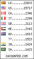 visitors by country counter