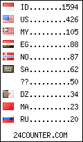 visitors by country counter