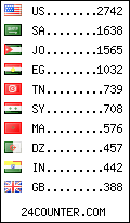 visitors by country counter