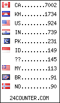 visitors by country counter