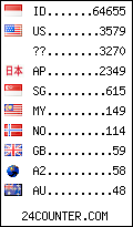 visitors by country counter