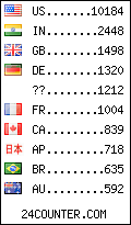 visitors by country counter