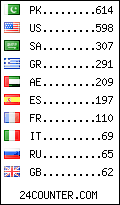 visitors by country counter
