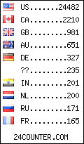 visitors by country counter