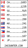 visitors by country counter