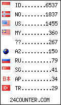 visitors by country counter