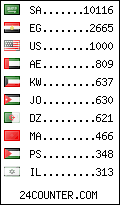 visitors by country counter