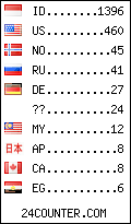 visitors by country counter