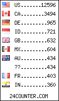 visitors by country counter