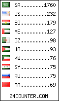 visitors by country counter