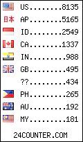 visitors by country counter