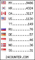 visitors by country counter