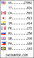 visitors by country counter