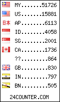 visitors by country counter