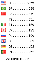 visitors by country counter