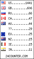 visitors by country counter